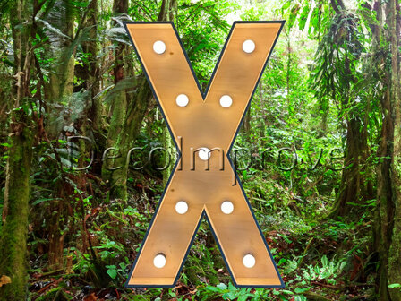 Lichtletter Hout &#039;X&#039; Verhuur