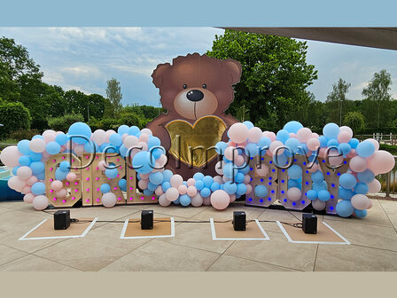 Gender Reveal &quot;Teddybear with a BANG&quot; Setting Groot