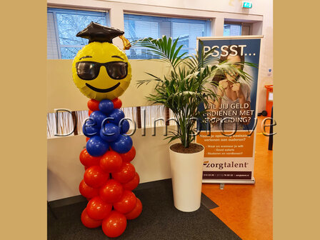 Emoticon Geslaagd Ballonnenpilaar